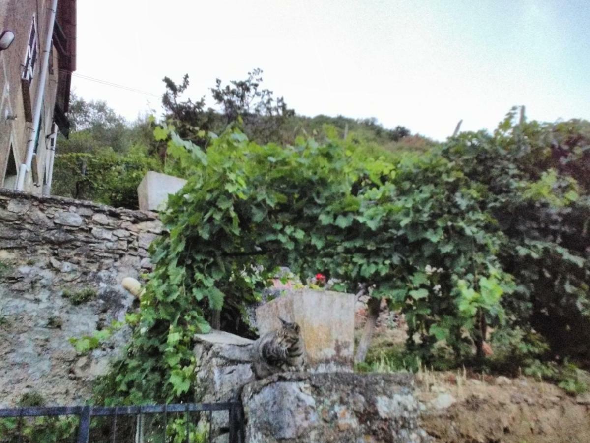 Apartamento Casa Quaratica Riccò del Golfo di Spezia Exterior foto